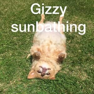 Meet your Posher, Annabelle